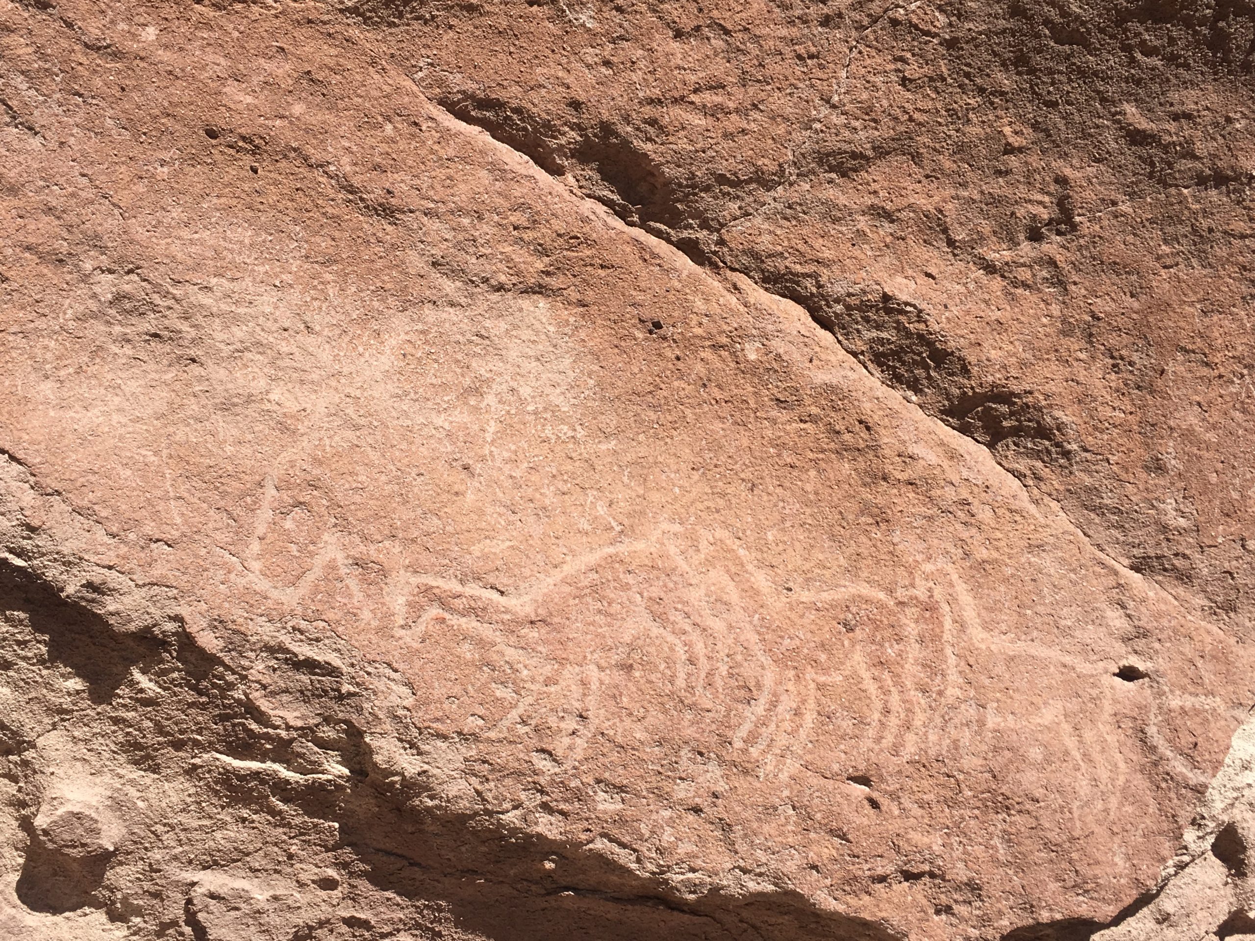 Unidad 5. Leer e interpretar: lo icónico verbal