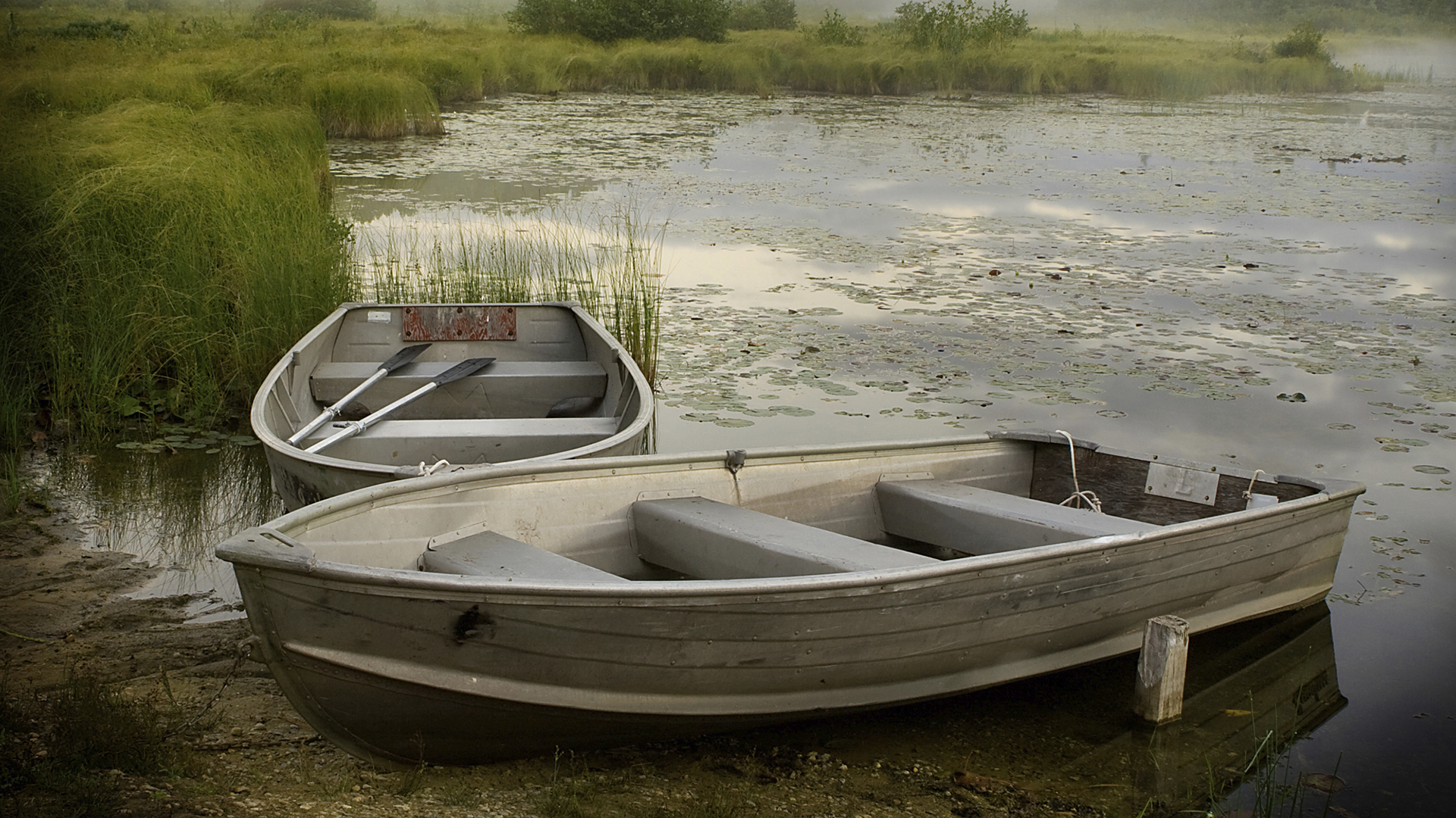 Tincidunt ut laoreet dolore