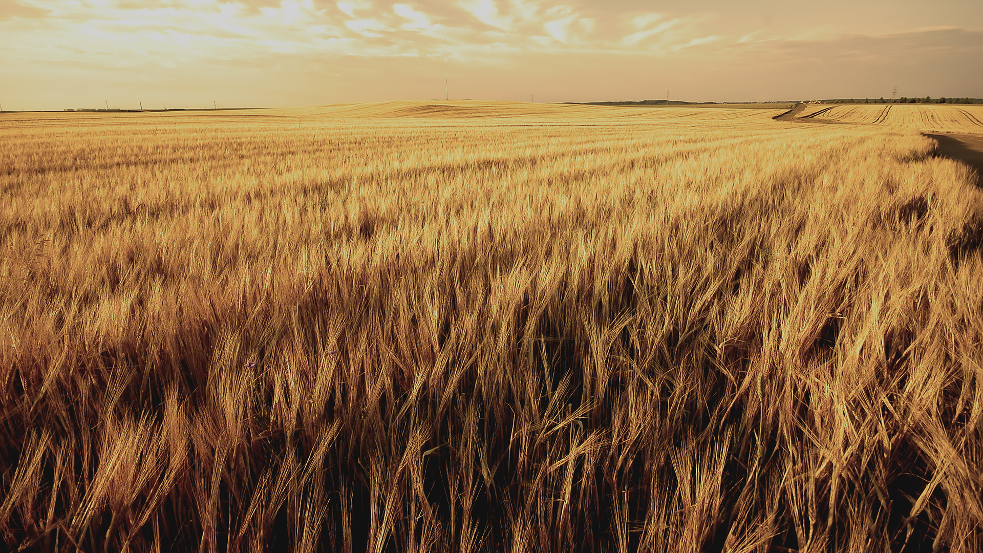 Accumsan et iusto odio